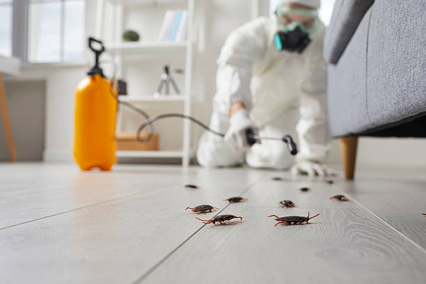 Commercial Kitchen Cockroach Control in Mission